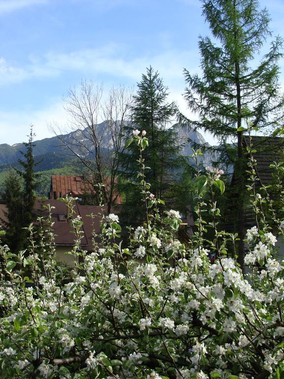 Holiday Home Patchwork Barn Zakopane Luaran gambar